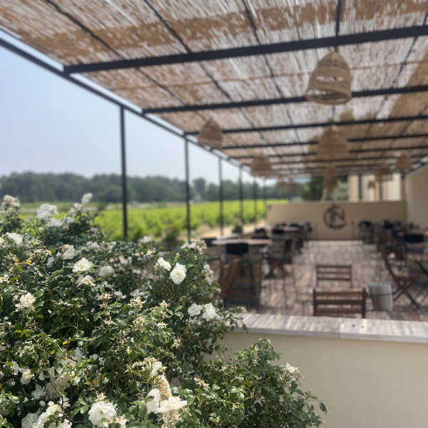 Le domaine