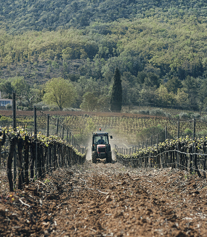 La naissance du clos
